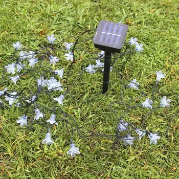 

Adeeing Solar Fairy String Light 50LED 7m for Christmas Tree, Wedding, Party (Multicolor)