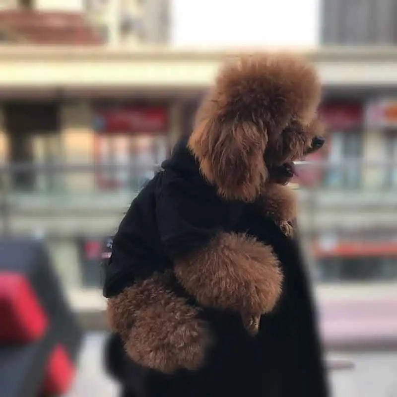 Собака самоед большая собака толстовка одежда для лабрадоров для больших собак Bluza одноцветные кофты с капюшоном Большие размеры пальто золотой ретривер