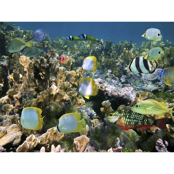 

75x50cm Jigsaw Puzzle Toys 100pcs Landscape Picture Jigsaw Toys Painting Sea world Fish Education Toys Kids Adults Room Decor
