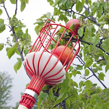 

Metal Fruit Picker Multi-functional Gardening Apples Pears Peaches Oranges Fruits Garden Tools Greenhouse Fruit Picker