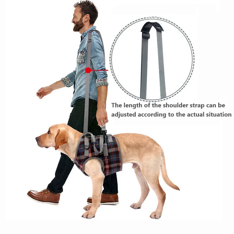 Dog-Rehabilitation-Auxiliary-Strap-Walking-Stand-Dog-Leg-Support-Leg-Disability-Injury-Older-age-pet-Auxiliary