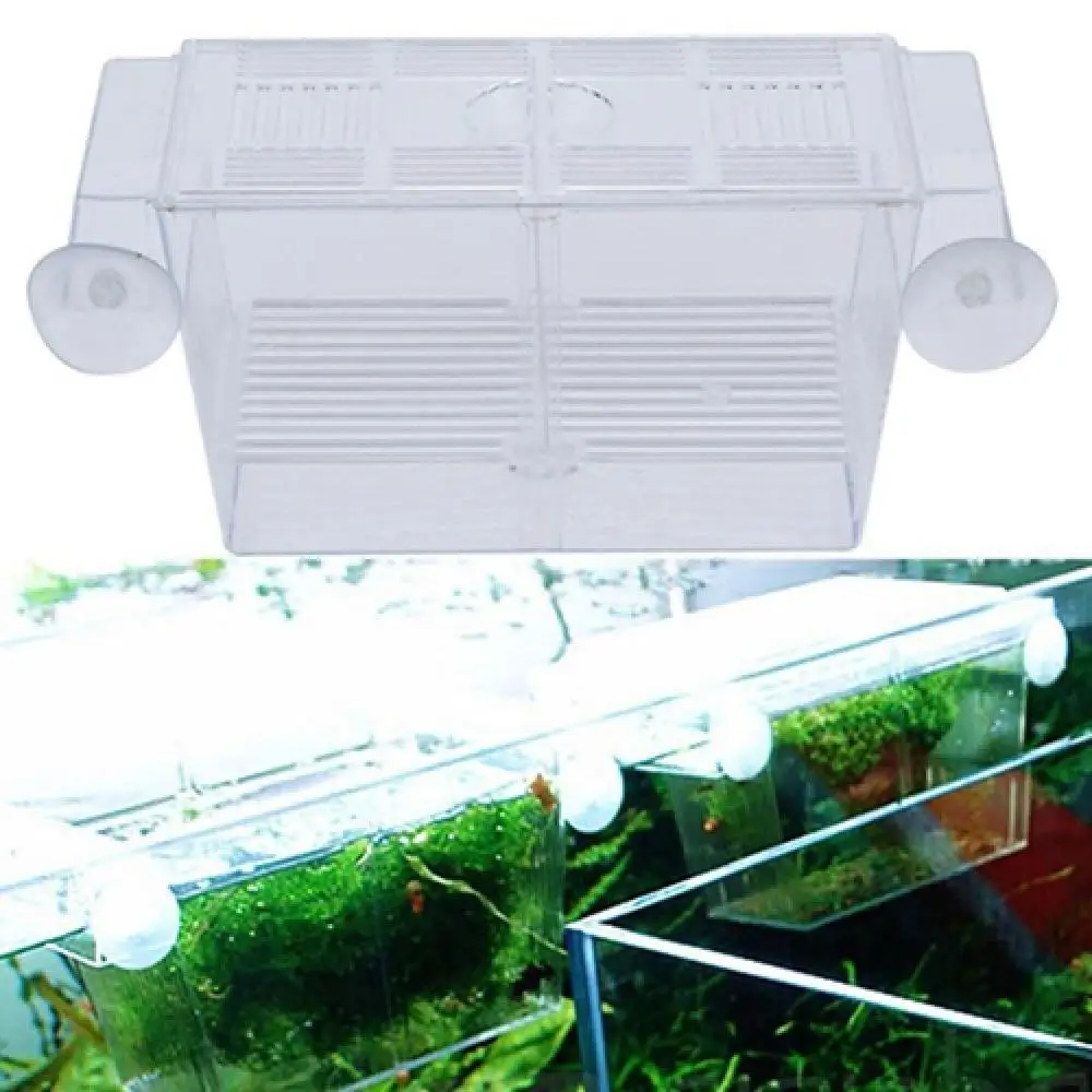 Transparent Aquarium Fish Tank Double Breeding Breeder Rearing Box ...