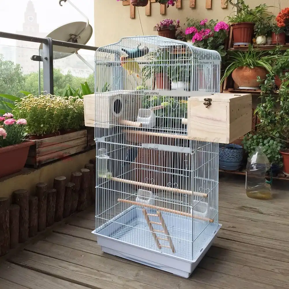 تنبيه الهواء الظلم شنقا قفص العصافير نظرة جديدة Findlocal Drivewayrepair Com