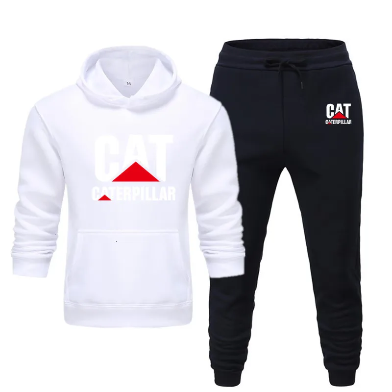 Новинка, мужская толстовка с капюшоном и принтом гусеницы, logo2-piece набор, мужская толстовка с капюшоном+ штаны, зимний модный Повседневный Топ