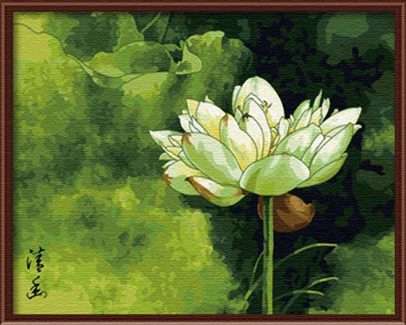 G070清幽·莲40x50