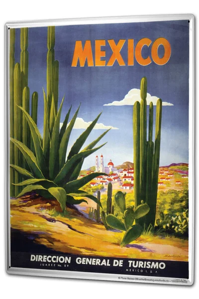

Tin Sign Globetrotter Mexico Aloe Plants Cacti Houses Coffee Bar Decoration Home Decor