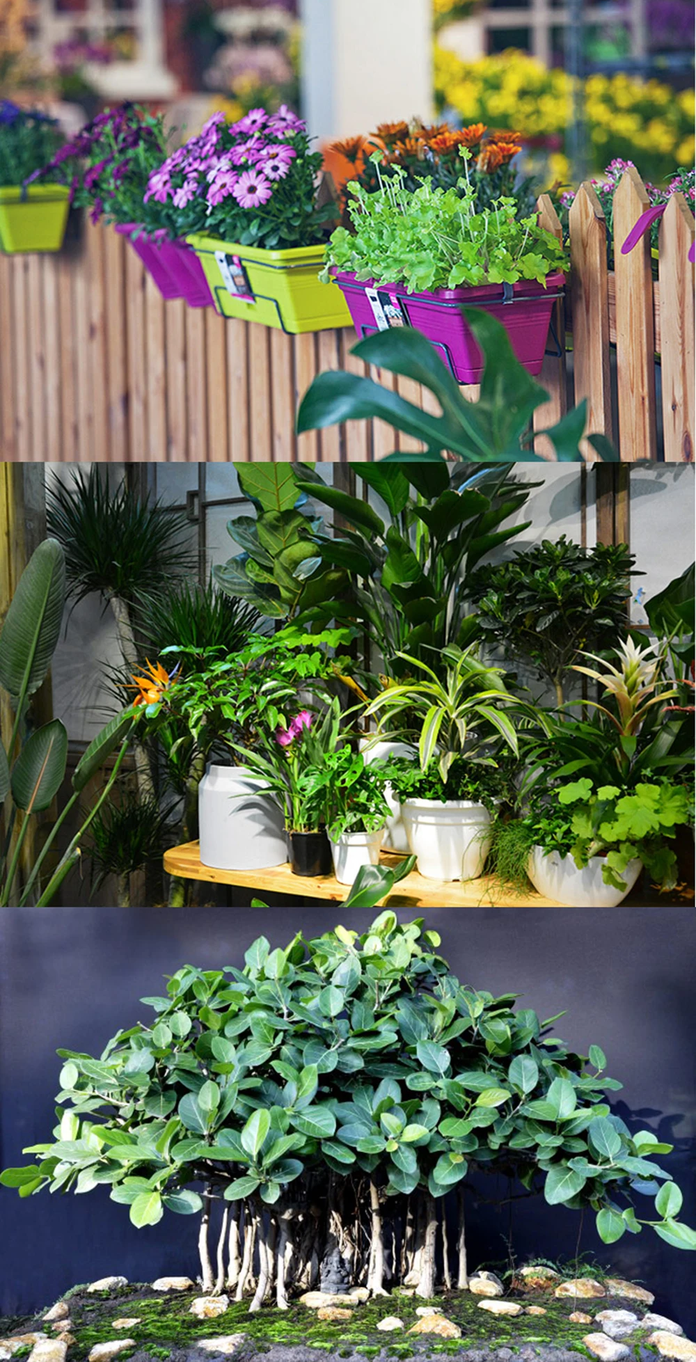 Vermiculite/perlite pellets Configure Nutrient for Hydroponics