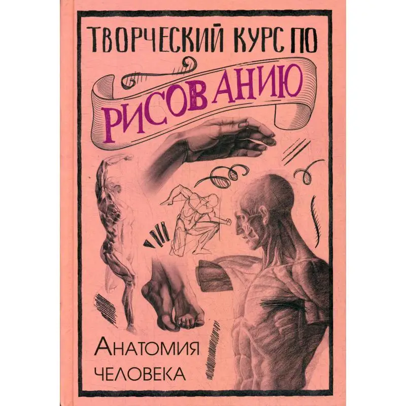 Творческий курс по рисованию. Анатомия человека | Канцтовары для офиса и дома