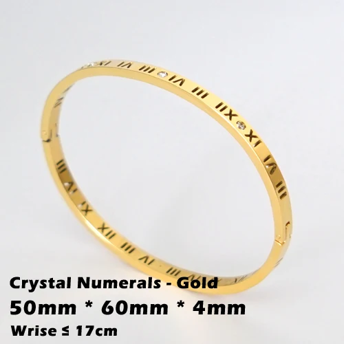 Трендовые Кристальные браслеты для женщин, серебряный, золотой, розовый браслет, титановые браслеты для любви, браслеты из нержавеющей стали, ювелирные изделия - Окраска металла: CN-Gold-4mm