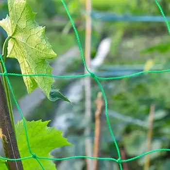 

High Quality Planting Climbing Net Vegetable Plastic Fruits Plant Useful Trellis Netting Garden Buildings Tool Anti-Bird