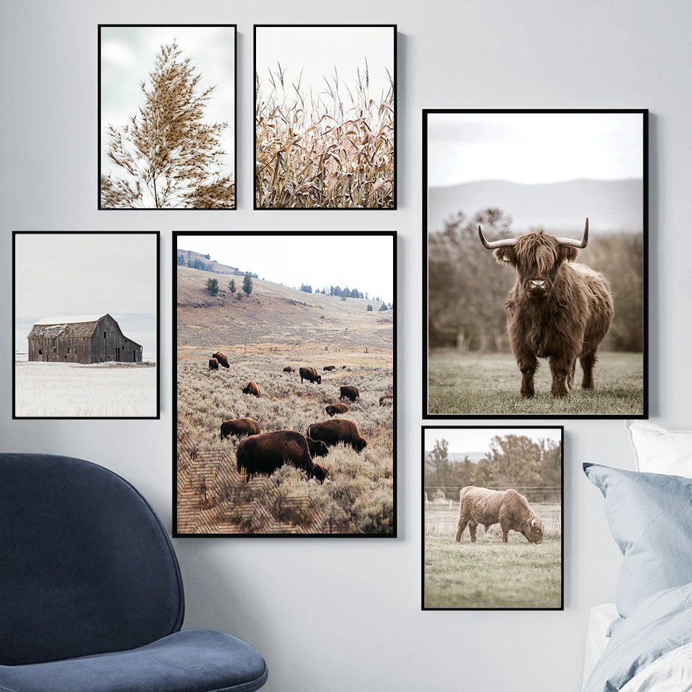 Decor-Farmhouse-Poster-Photography-Wall-Art-Highland-Cow-Animal-Canvas-Farm-Wheat-Plant-Print-Pictures-Painting (3)