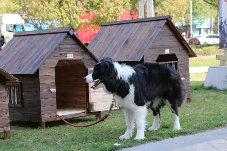 Большая уличная собачья клетка непромокаемая карбоновая деревянная кровать для собак для маленьких средних и больших собак, уличная кошачья будка, палатки для щенков