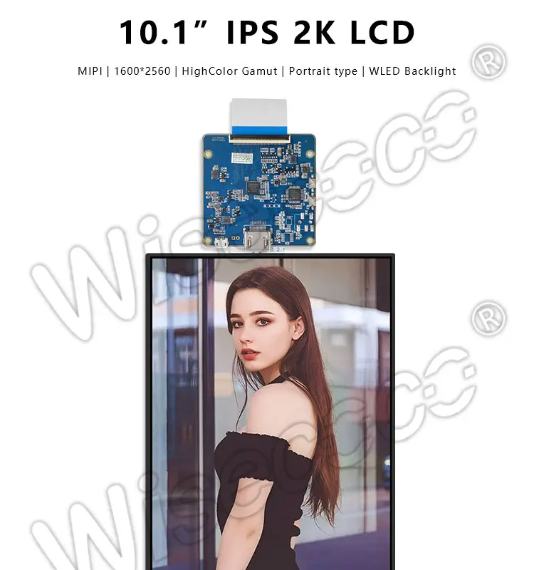 ???_01