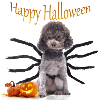 

Halloween Carnival Pet Spider Clothes Festival Decoration For Dogs And Cats Black Party Dress Up Simulation Plush Spider Costume