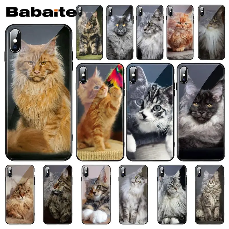 

Babaite pet maine coon cat Tempered Glass Phone Case For iphone 11 Pro XS MAX XR 8 X 7 6S 6 Plus