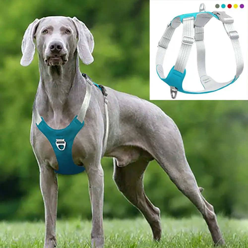 

Adjustable Strong Pet Dog Harness Dog Training Reflective Chest Belt Vest Protective Harness Outdoor for Small Medium Big Dogs