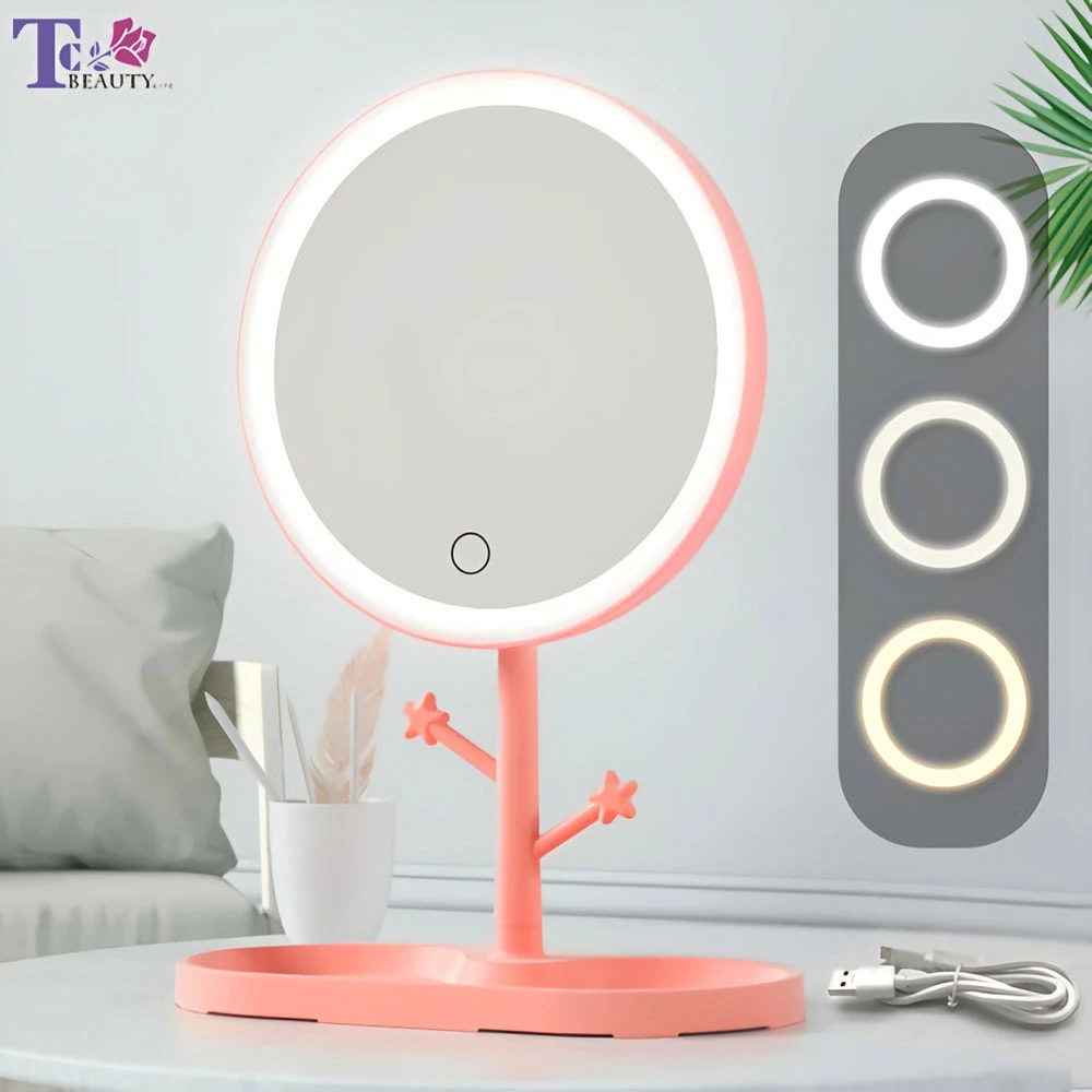 Led Makeup Mirror With Light Ladies Storage Makeup Lamp Desktop Vanity