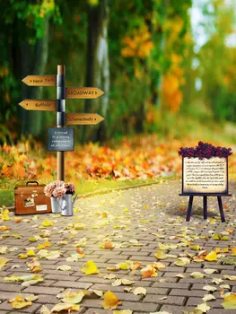 

New York city park backgrounds photography vinyl fotografia autumn photo backdrop for photographer studio video props S-2015