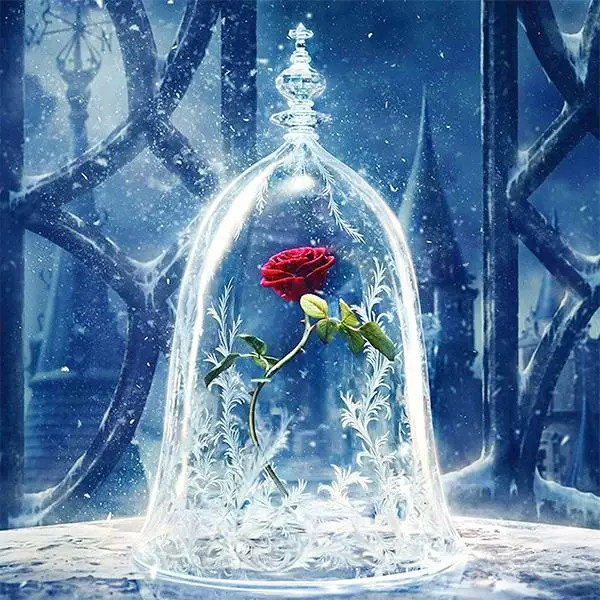 18975---glass-rose-1_grande