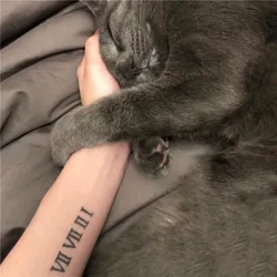 Waterproof Temporary Tattoo Sticker Roman Numeral Design Body Art Fake Tattoo Flash Tattoo Arm Male Female