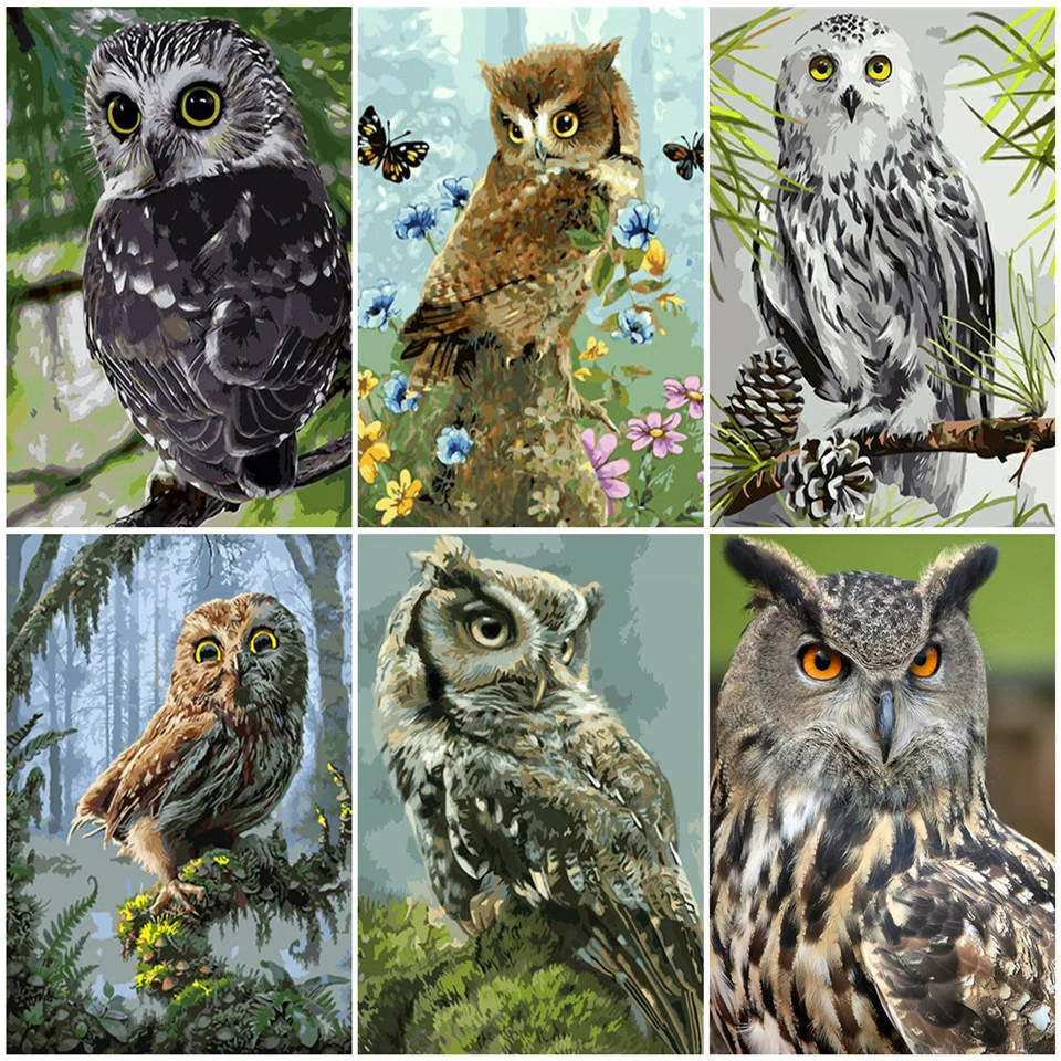 AZQSD Paint By Number Canvas Painting Kits Owl DIY Unframe Acrylic