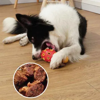 

Pet Dog Vocal Toy Puzzle Practical Ball Leakage Food Balls Resistant Teething Training Interactive Pets Cat