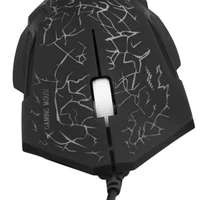 Computer Peripherals