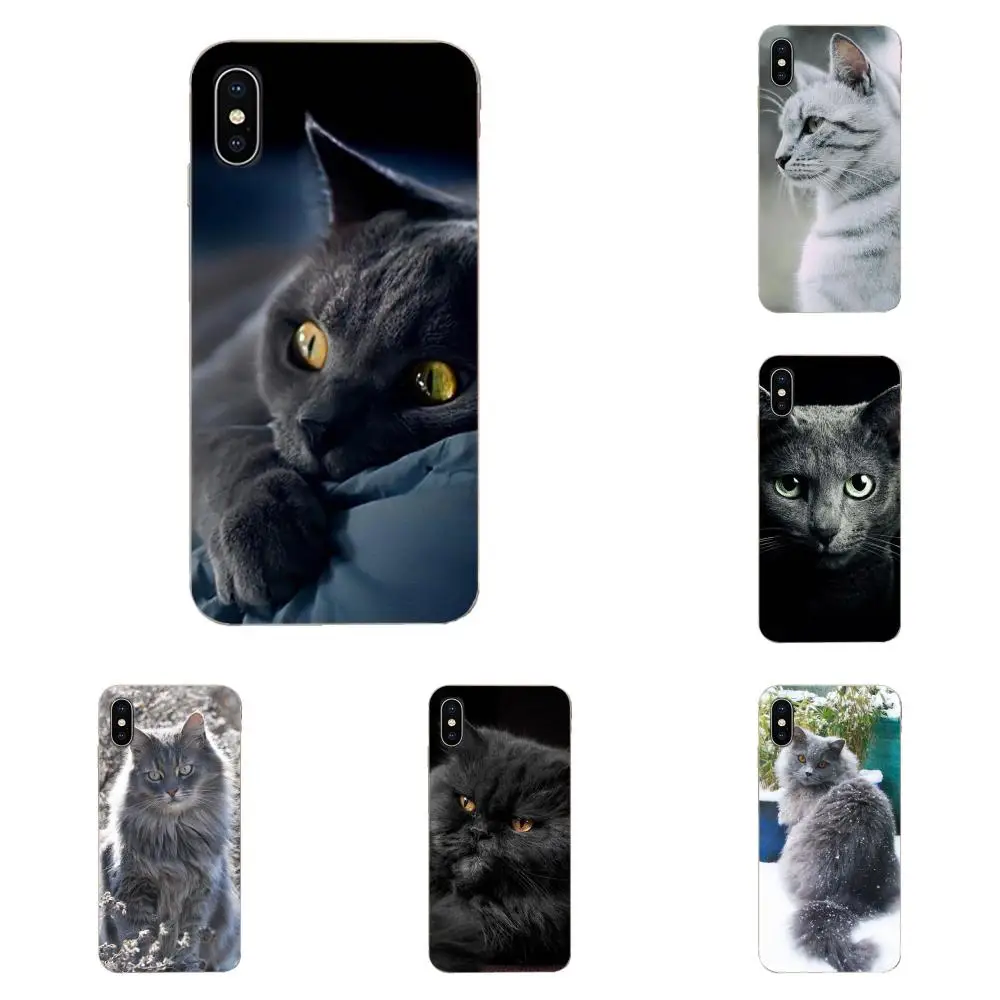 Gray Cat Lovely Animal Soft Tpu Phone Case For Sony Xperia Z Z1 Z2 Z3 Z4 Z5 compact Mini M2 M4 M5 T3 E3 E5 XA XA1 XZ Premium | Мобильные