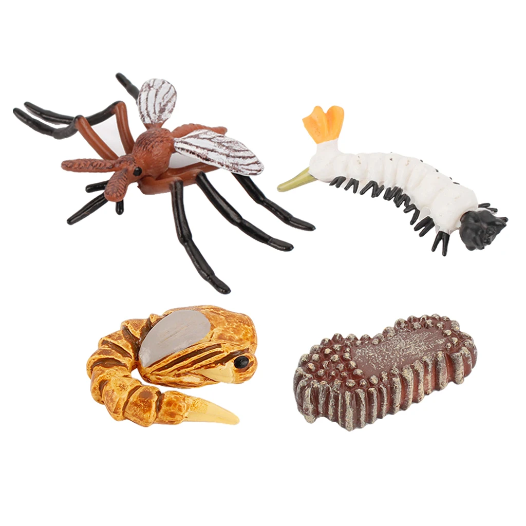 Early Kids Toddlers Simulation Animals Growth Cycle Toy Pretend Play Animal Growth Cycle Teaching Aids Early Educational Toy