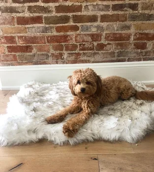 

Faux Fur Dog Mat Fluffy Soft Pet Cushion Mat For Small Medium Large Dogs Cats Winter Pet Deep Sleeping Blanket Puppy Warm Kennel