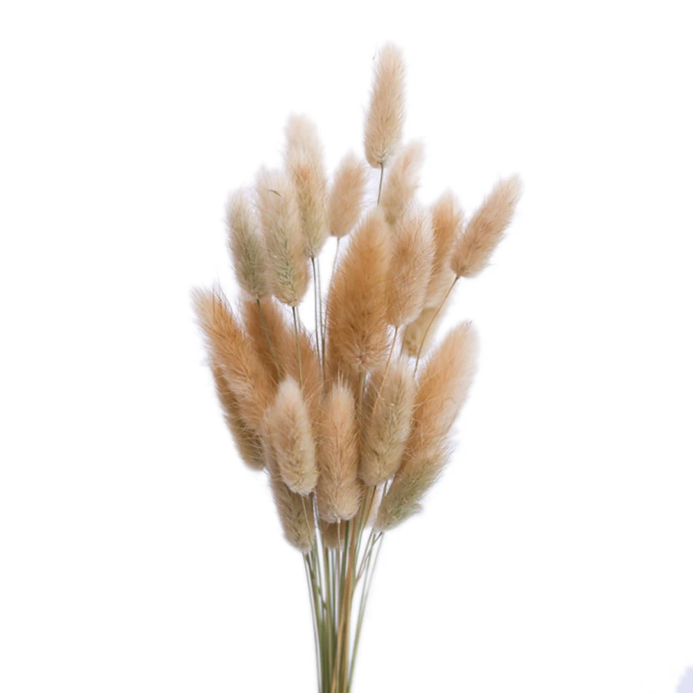 15 шт. Bulrush засушенный натуральный маленький пампасная трава Phragmites munis, свадебный цветок букет 3 цвета для домашнего декора - Цвет: Золотой