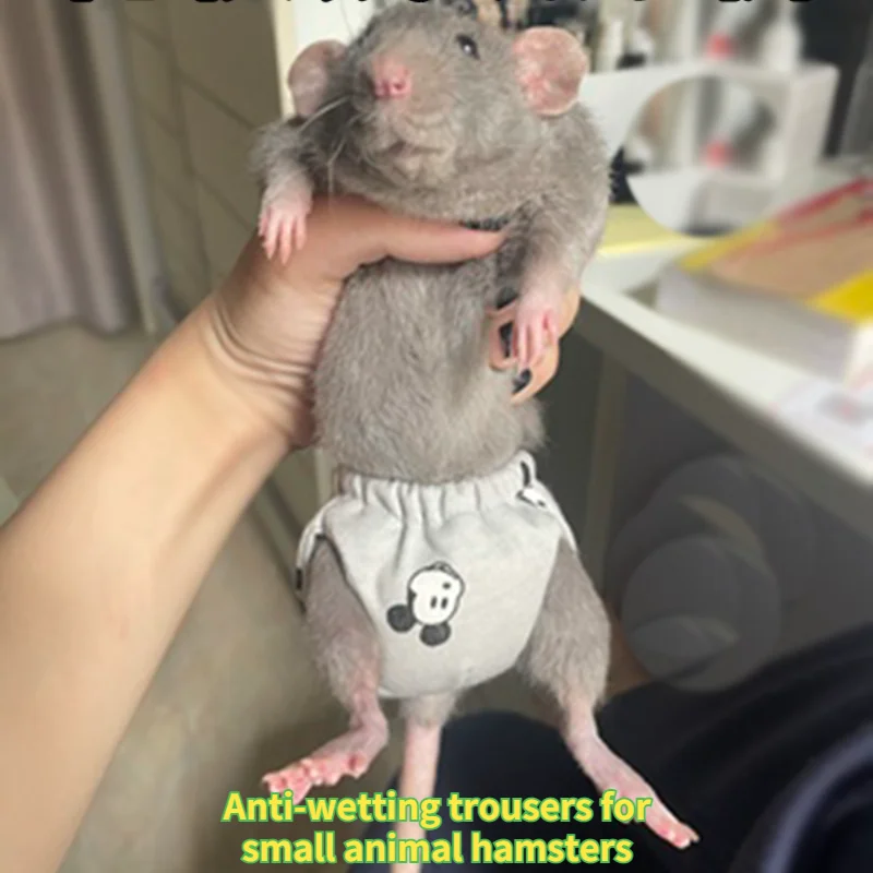 Small Animal Clothes Hamster Diaper Pants Chipmunks Guinea Pigs Squirrels Chinchillas Supplies