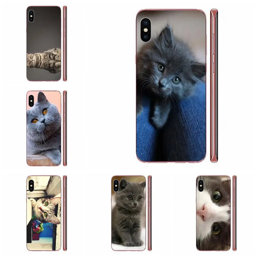 Модный чехол для HTC Desire 530 626 628 630 816 820 One A9 M7 M8 M9 M10 E9 U11 U12 Life Plus серый Кот с камерой