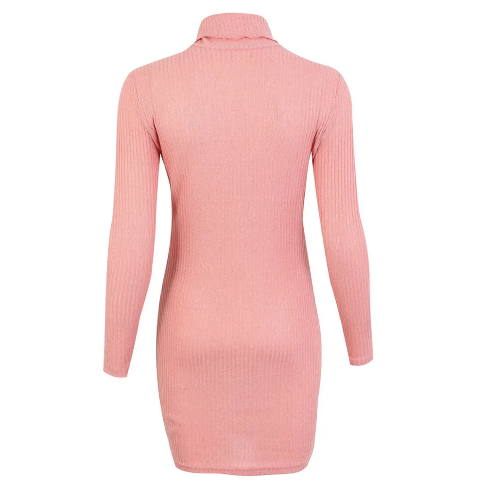 Jaycosin Fashion Womens Casual Long Sleeve Jumper Turtleneck Sweaters Dress Elegant Lovely Chic Comfy Jumper Top Blouse