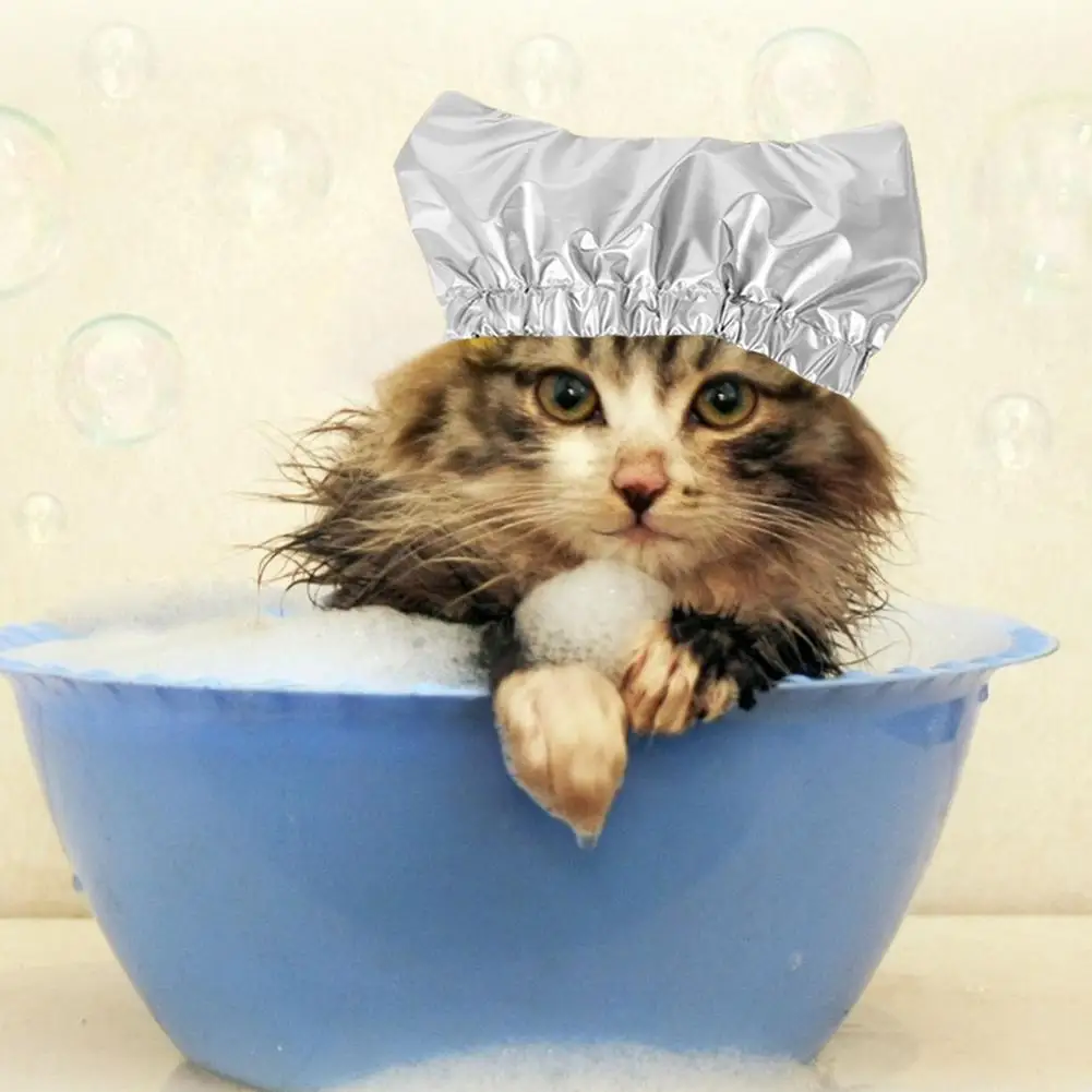 Shower cap for cats best sale