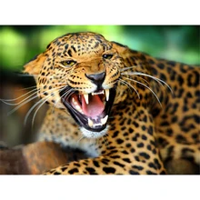 GATYZTORY 5D алмазная живопись полный квадрат DIY домашний декор мозаика Стразы Картина на холсте с логотипом на заказ Настенная картина злой Леопард