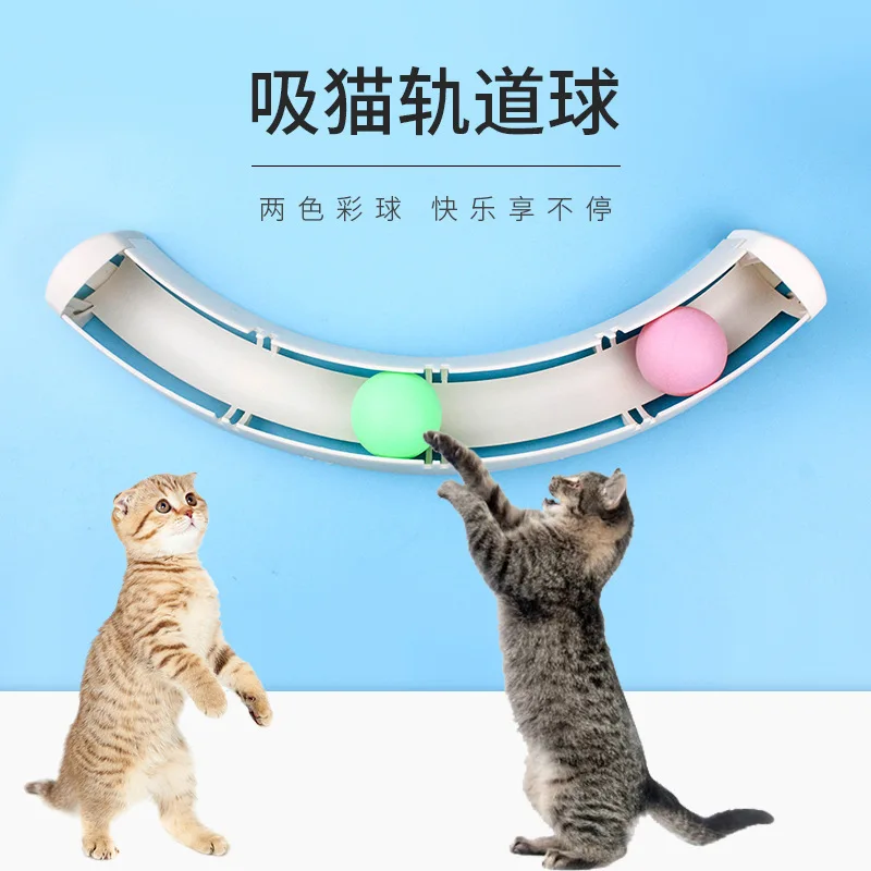 

Cat Sucker Camera Track Ball Cat Ball Toy Cat Self Hi Cat Supplies Automatic Play with Cat English Short Blue Cat Kittens