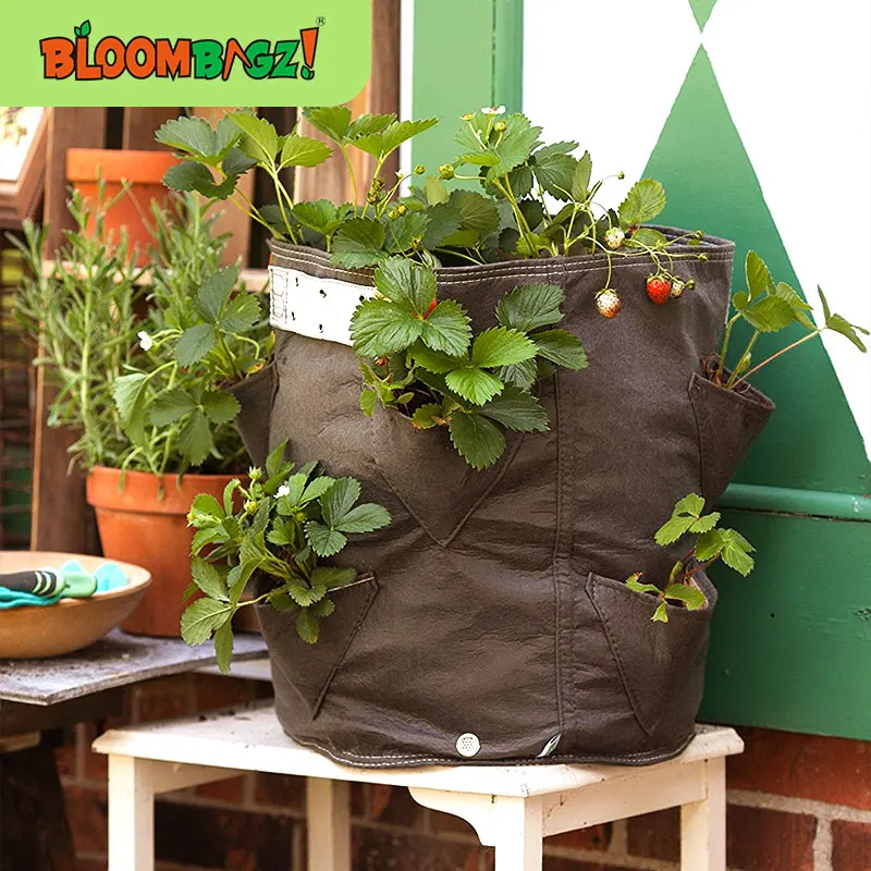 

Круглый многоразовый горшок для выращивания растений, 4/9 галлонов, 6 карманов, 8 карманов