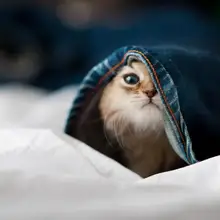 Черная мотоциклетная рукоятка защита рук кисточки Handguard протектор для Honda CB500X 2013