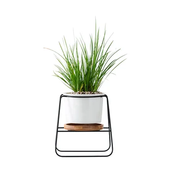 

Nordic Iron Trapezoidal Simple Succulent Green Plant Pot Geometric Flower Stand Ceramic Flower Pot Bamboo Tray Set （C16-727A-1）