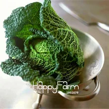 100 шт./упак. Новинка! Органические совершенства verza негибридные овощи Бонсай вкусный