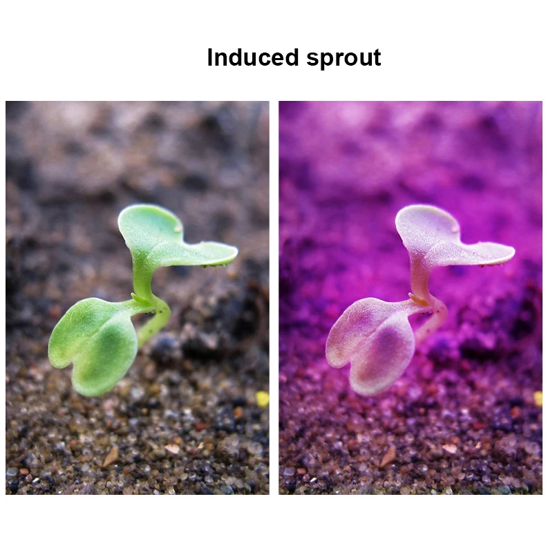 11861577564_1585587929