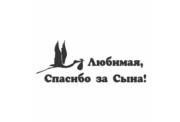 Обернутый в Лебедь рот летает небо автомобильные наклейки Наклейка на окно или