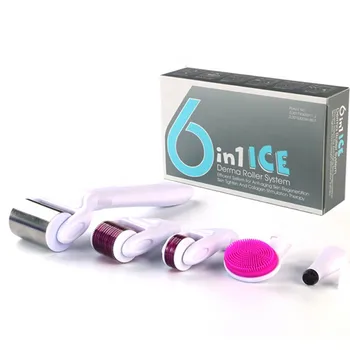 

Hot Sale 6 in 1 DRS Derma Roller Kit 12/300/720 Titanium Microneedle Dermarroler With Ice Roller