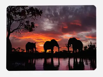 

Elephant Bathroom Carpet Landscape Animal Bath Mat Water Absorption Bathroom Mat Toilet Carpet Bath Rug Home Bath Carpet