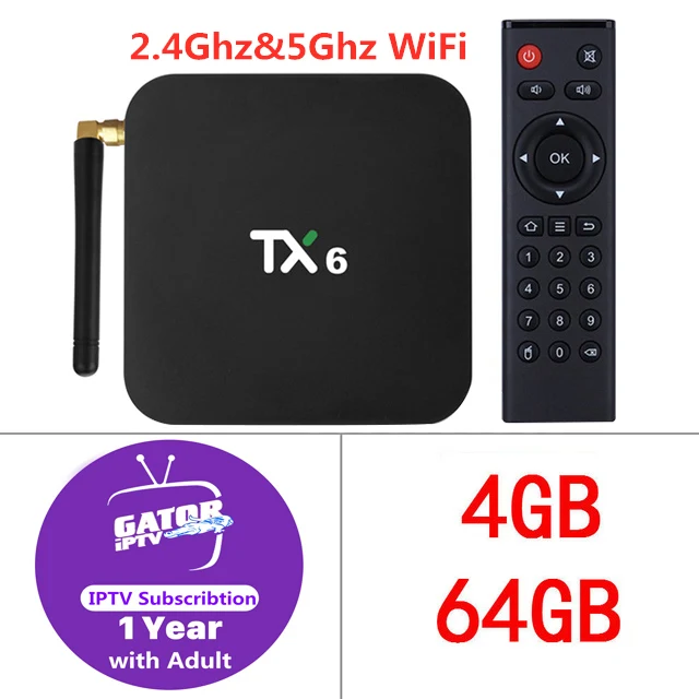 4G64G one year IPTV TX6 ТВ приставка Смарт медиаплеер один год для взрослых IP tv подписка Италия Португалия Испания Франция арабский 7000 каналов 4K телеприставка - Цвет: 4G64G one year IPTV