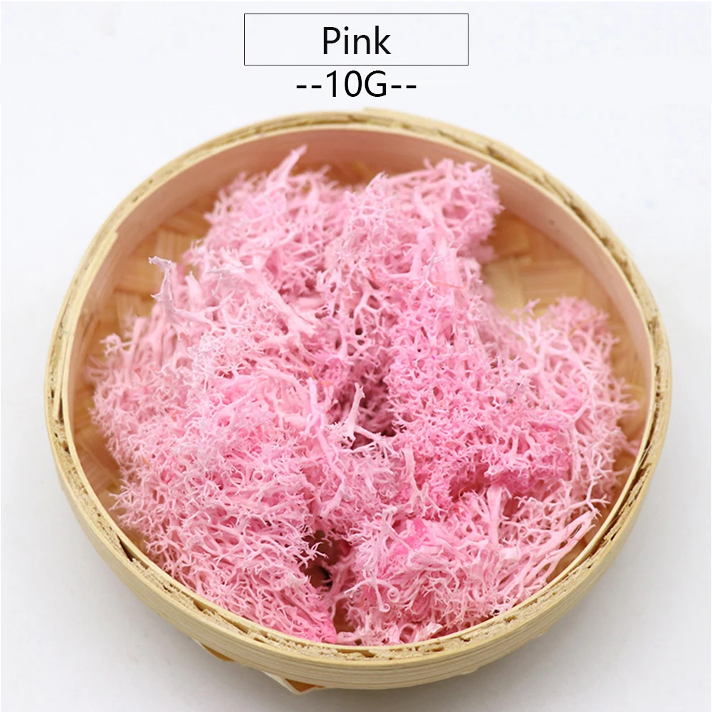 10g Pink 10/200g искусственные растения вечной жизни мох бессмертный Искусственная Трава Декор для дома и сада цветочным принтом в стиле «сделай сам Материал микро Ландшафтные аксессуары - Цвет: 10g Pink