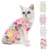 Pet Cat Clothes Dress Cat Retrieve After Surgery Clothing Pet Wound Anti-mite Sterilization Pet Supplies Хирургические Восстановительные костюмы