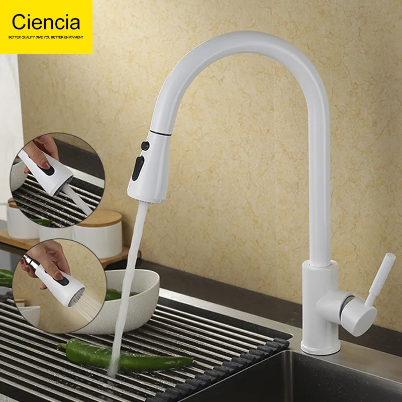 

Copper Double Feature Water Extractor with Check Tap Pull-out Kitchen Faucet Rotatable Sink Kitchen Sink Hot And Cold Faucet