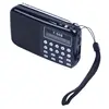 Portable Audio 